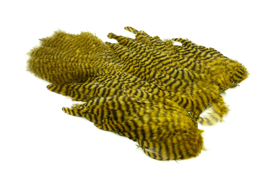 Whiting Rooster Soft Hackle with Chickabou